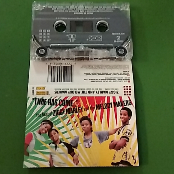 Ziggy Marley - Picture 2 of 2